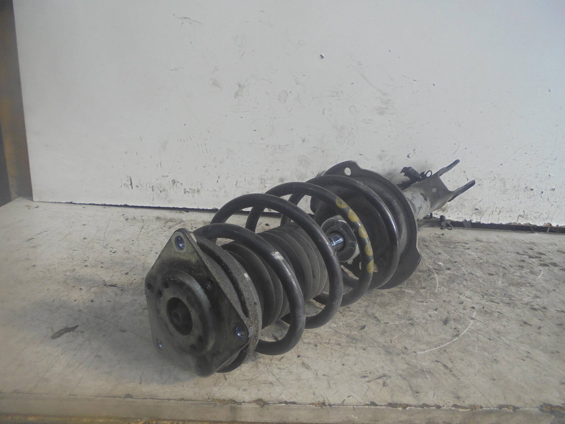 Ammortizzatore ant. sx.